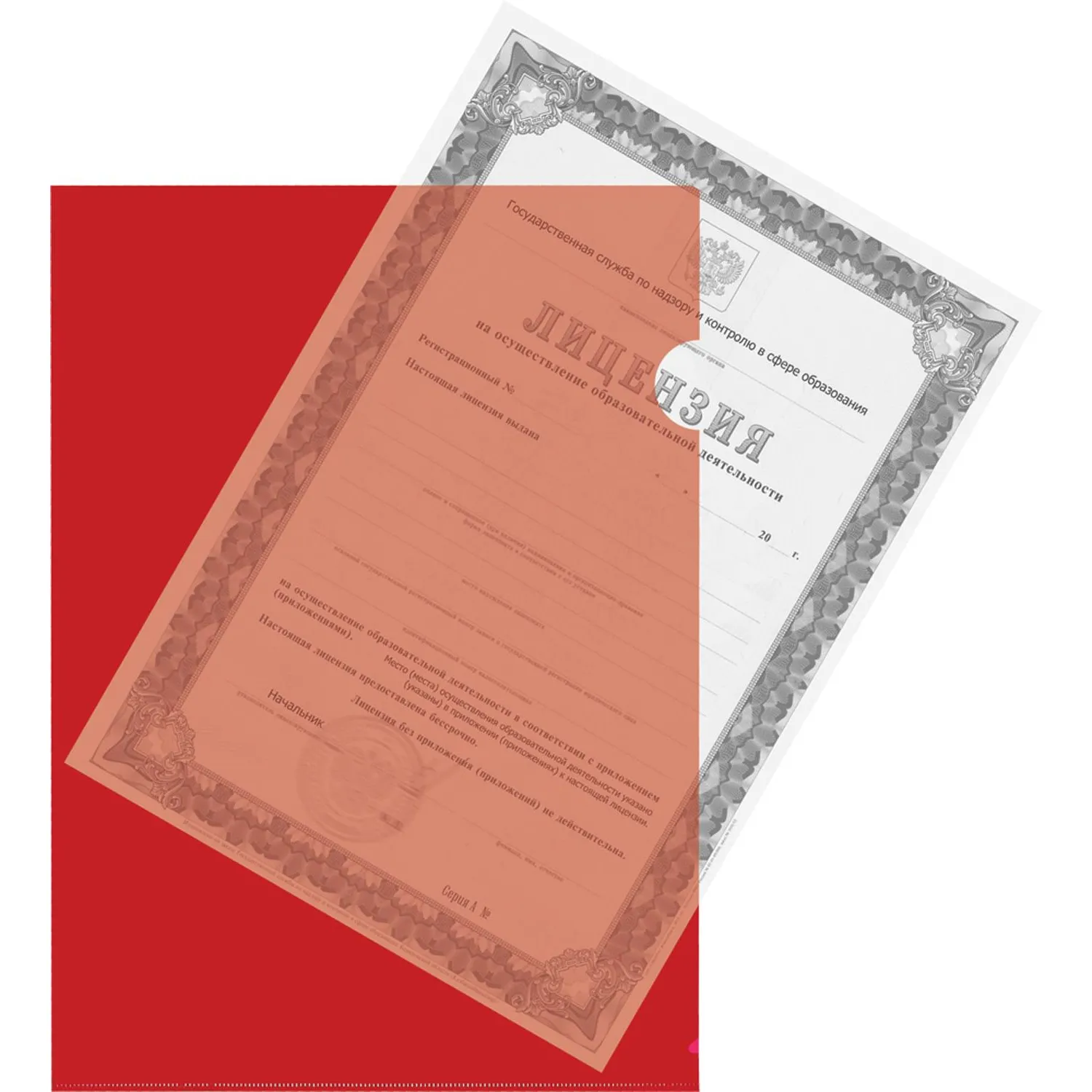 Папка-уголок Attache A4 пластиковая 150 мкм красная (10 штук в упаковке) - Image 3