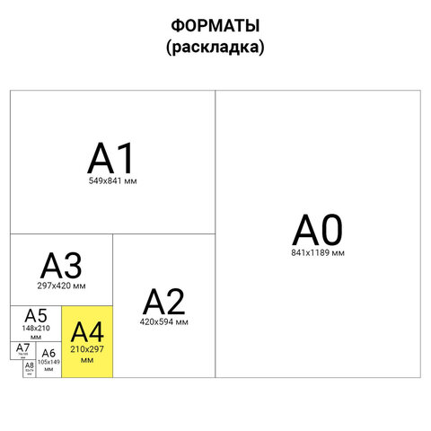 Журнал учета проверок юр.лиц и ИП, 96 л., бумвинил, блок офсет, фольга, А4 200х290 мм, BRAUBERG, 130235 - Image 9