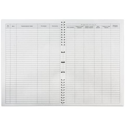 Книга учета доходов и расходов, 50 л., картон, на гребне, А4 (204х290 мм), 13с21-50 - Image 2