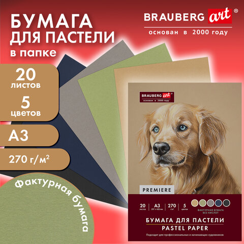 Бумага для пастели ФАКТУРНАЯ, А3, в папке, 20 листов, 5 цветов, 270 г/м2, BRAUBERG ART, 117756 - Image 4