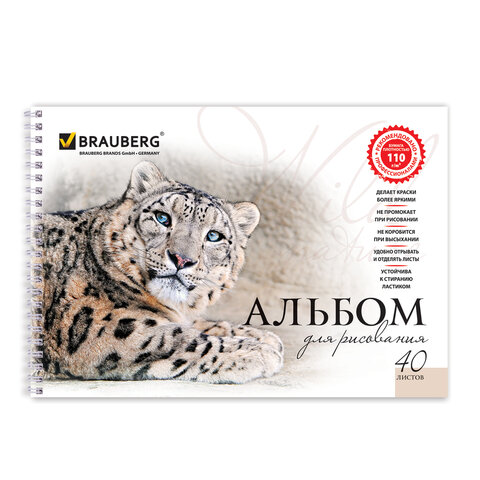 Альбом для рисования, А4, 40 листов, гребень, обложка картон, BRAUBERG, 205х290 мм, "Благородные кошки" (2 вида), 102831 - Image 2