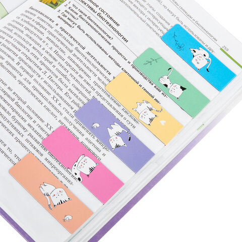 Закладки для книг МАГНИТНЫЕ, "CATS", набор 6 шт., 60x20 мм, BRAUBERG, 113159 - Image 3