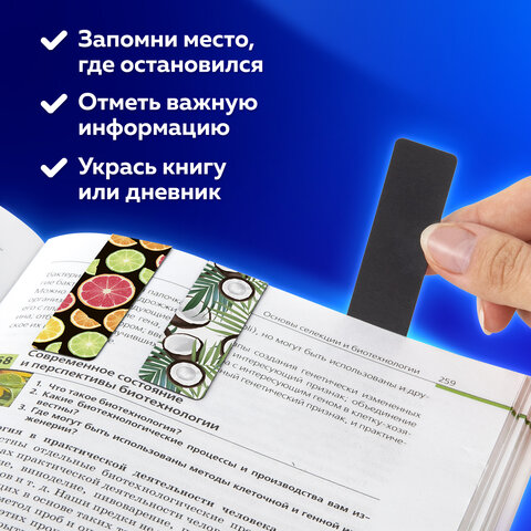 Закладки для книг МАГНИТНЫЕ, "FRUITS", набор 6 шт., 60x20 мм, BRAUBERG, 113160 - Image 9