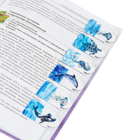 Закладки для книг МАГНИТНЫЕ c высечкой, "MARINE LIFE", набор 6 шт., 35х25 мм, BRAUBERG, 113163 - Image 3