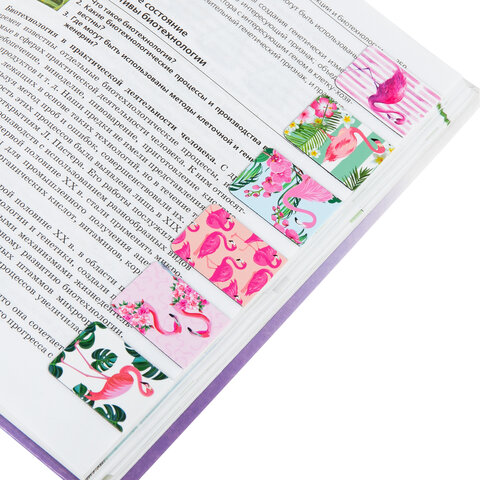 Закладки для книг МАГНИТНЫЕ, "FLAMINGO", набор 6 шт., 35x25 мм, BRAUBERG, 113165 - Image 4