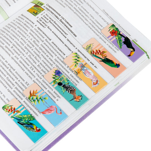 Закладки для книг МАГНИТНЫЕ, "TROPICS", набор 12 шт., 60x20 мм, BRAUBERG, 113172 - Image 9