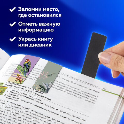 Закладки для книг МАГНИТНЫЕ, "TROPICS", набор 12 шт., 60x20 мм, BRAUBERG, 113172 - Image 15