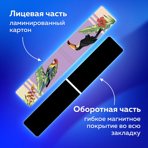 Закладки для книг МАГНИТНЫЕ, "TROPICS", набор 12 шт., 60x20 мм, BRAUBERG, 113172 - Image 16