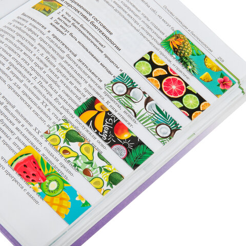 Закладки для книг МАГНИТНЫЕ, "FRUITS", набор 12 шт., 60x20 мм, BRAUBERG, 113173 - Image 9