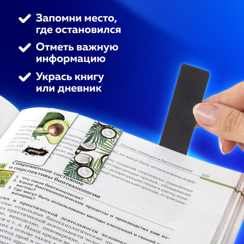 Закладки для книг МАГНИТНЫЕ, "FRUITS", набор 12 шт., 60x20 мм, BRAUBERG, 113173 - Image 15