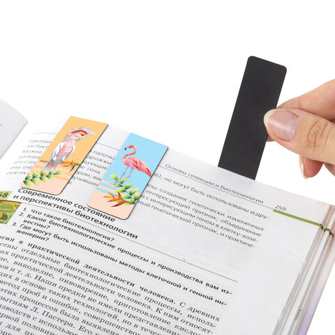 Закладки для книг МАГНИТНЫЕ, "MIX", набор 30 шт., 60x20 мм, BRAUBERG, 113175 - Image 5