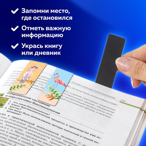 Закладки для книг МАГНИТНЫЕ, "MIX", набор 30 шт., 60x20 мм, BRAUBERG, 113175 - Image 11