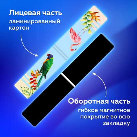 Закладки для книг МАГНИТНЫЕ, "MIX", набор 30 шт., 60x20 мм, BRAUBERG, 113175 - Image 12