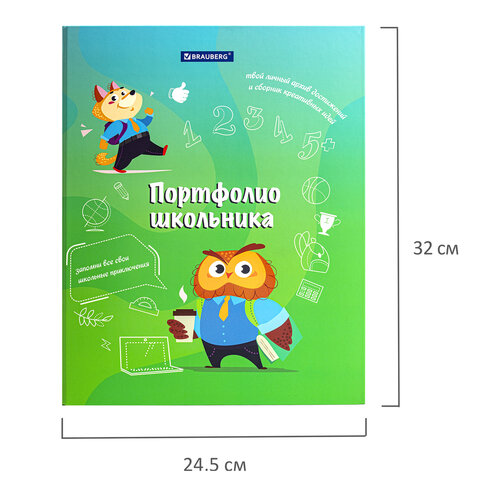 Папка-портфолио школьника "ОТЛИЧНИК", 4 кольца, 20 файлов, 10 вкладышей, 7БЦ матовая, BRAUBERG, 115240 - Image 3
