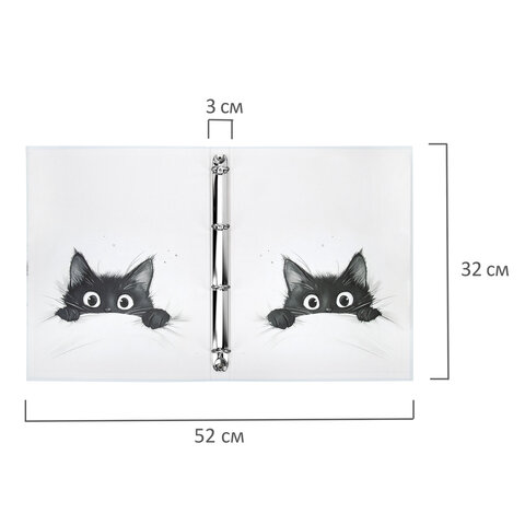 Папка-портфолио универсальная, 4 кольца, 20 файлов, 7БЦ матовая, BRAUBERG "Cat", 107557, 117557 - Image 2