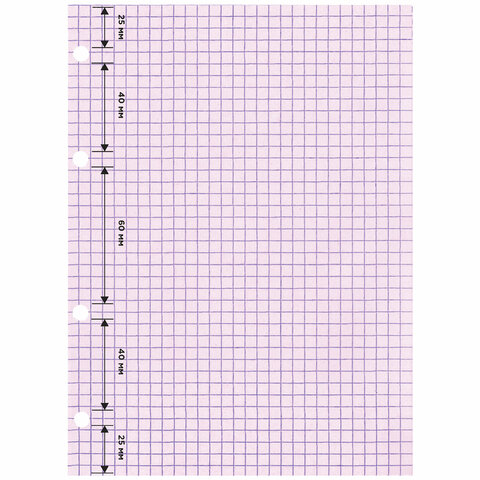 Сменный блок для тетради на кольцах, А5, 120 л., BRAUBERG, 4 цвета по 30 листов, 404614 - Image 3