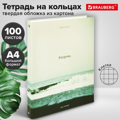 Тетрадь на кольцах БОЛЬШАЯ А4, 220х305 мм, 100 л., твердый картон, клетка, BRAUBERG, "Nature", 405411 - Image 8