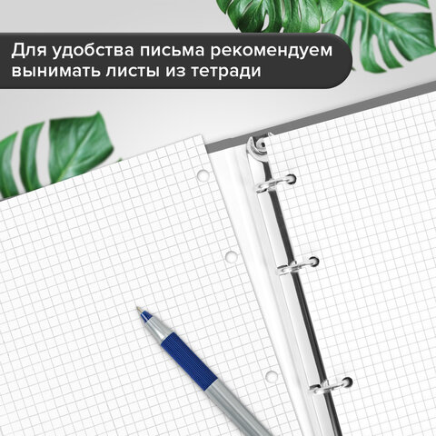 Тетрадь на кольцах БОЛЬШАЯ А4, 220х305 мм, 100 л., твердый картон, клетка, BRAUBERG, "Nature", 405411 - Image 9
