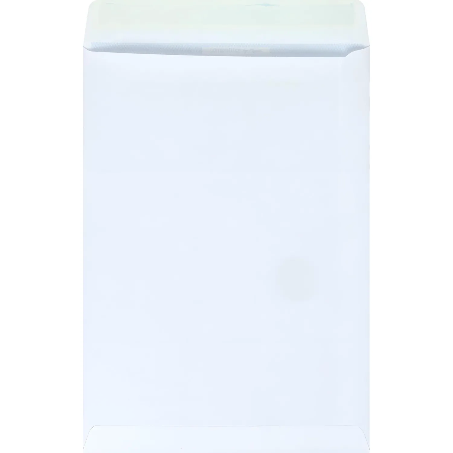 Пакеты Businesspack B4 250x353 мм, офсет 120 г/м², упаковка для писем (200 шт.)