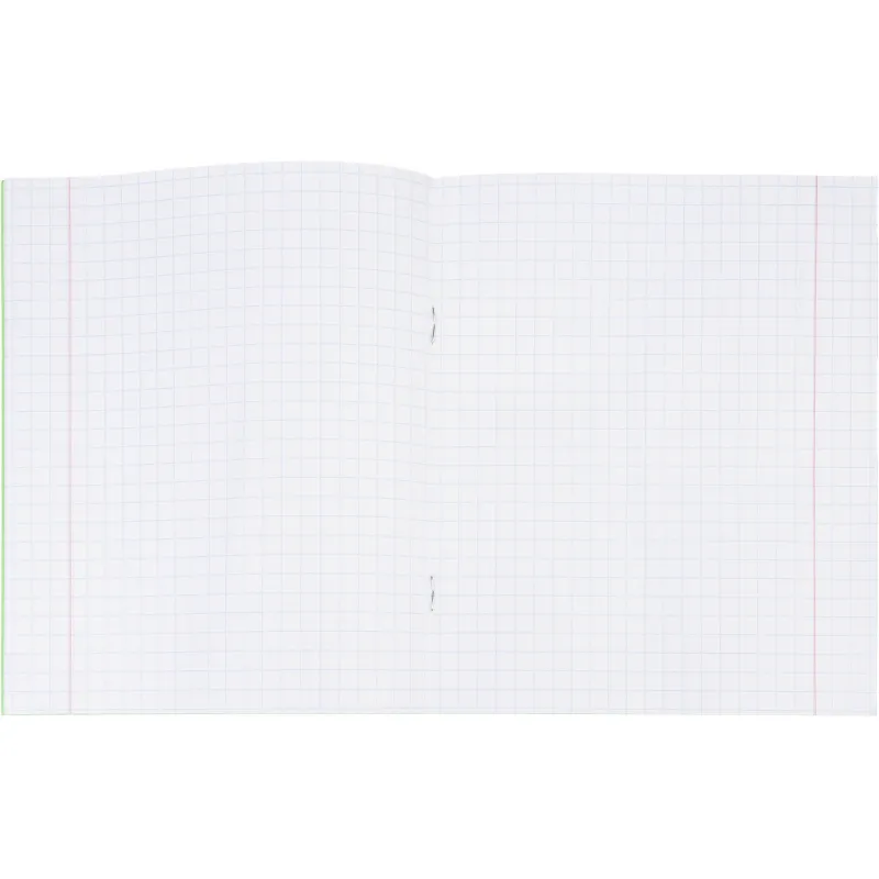 Тетрадь школьная зелёная А5 12 л., клетка 16,5×20,5 см, офсет 60 г/м² - Image 6