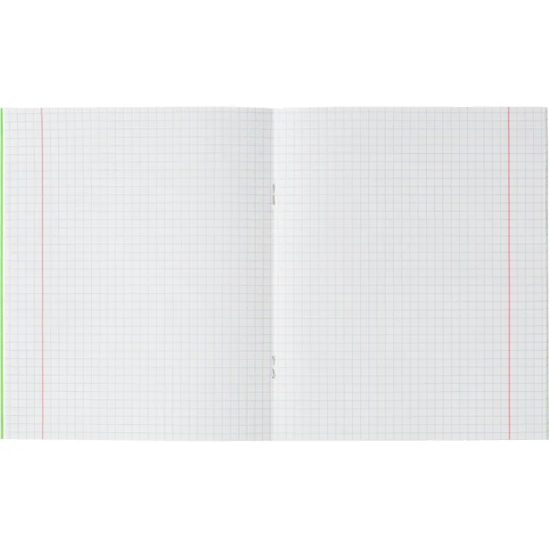 Тетрадь школьная зелёная А5 18л, клетка, 16,5×20,5 см, офсет 60 г/м² - Image 6