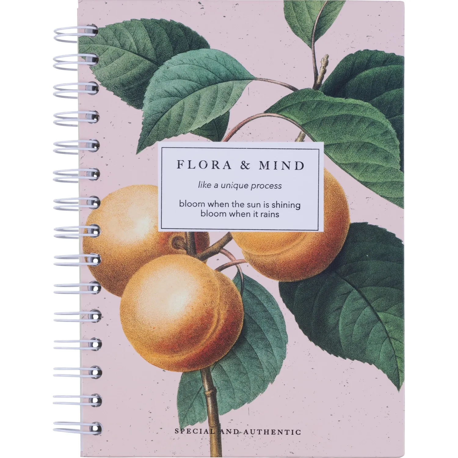 Бизнес-тетрадь Be Smart Flora Персики A5 120 л., розовая, твердая обложка, спираль