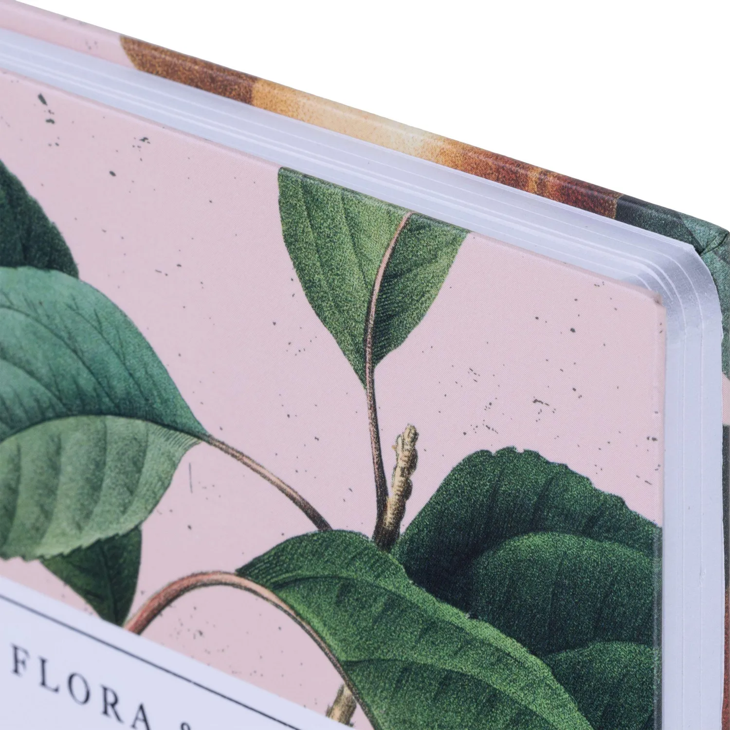 Бизнес-тетрадь Be Smart Flora Персики A5 120 л., розовая, твердая обложка, спираль - Image 3