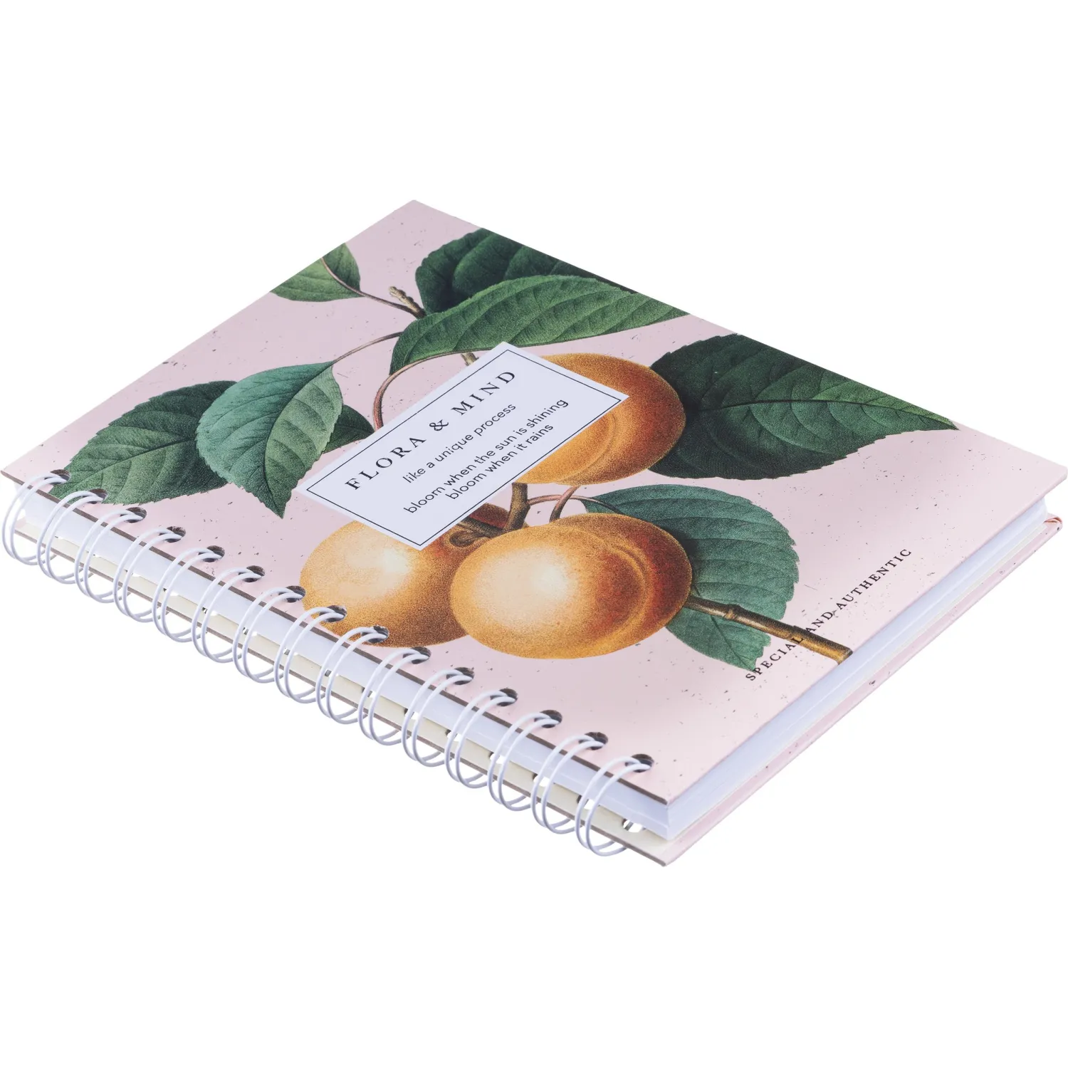 Бизнес-тетрадь Be Smart Flora Персики A5 120 л., розовая, твердая обложка, спираль - Image 4