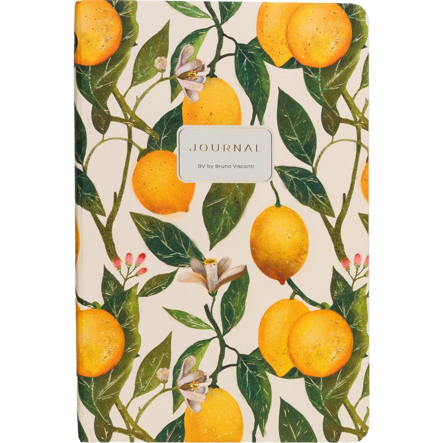 Бизнес-блокнот Bruno Visconti Megapolis Journal Flora Лимон А5+ (100 сшитых листов)