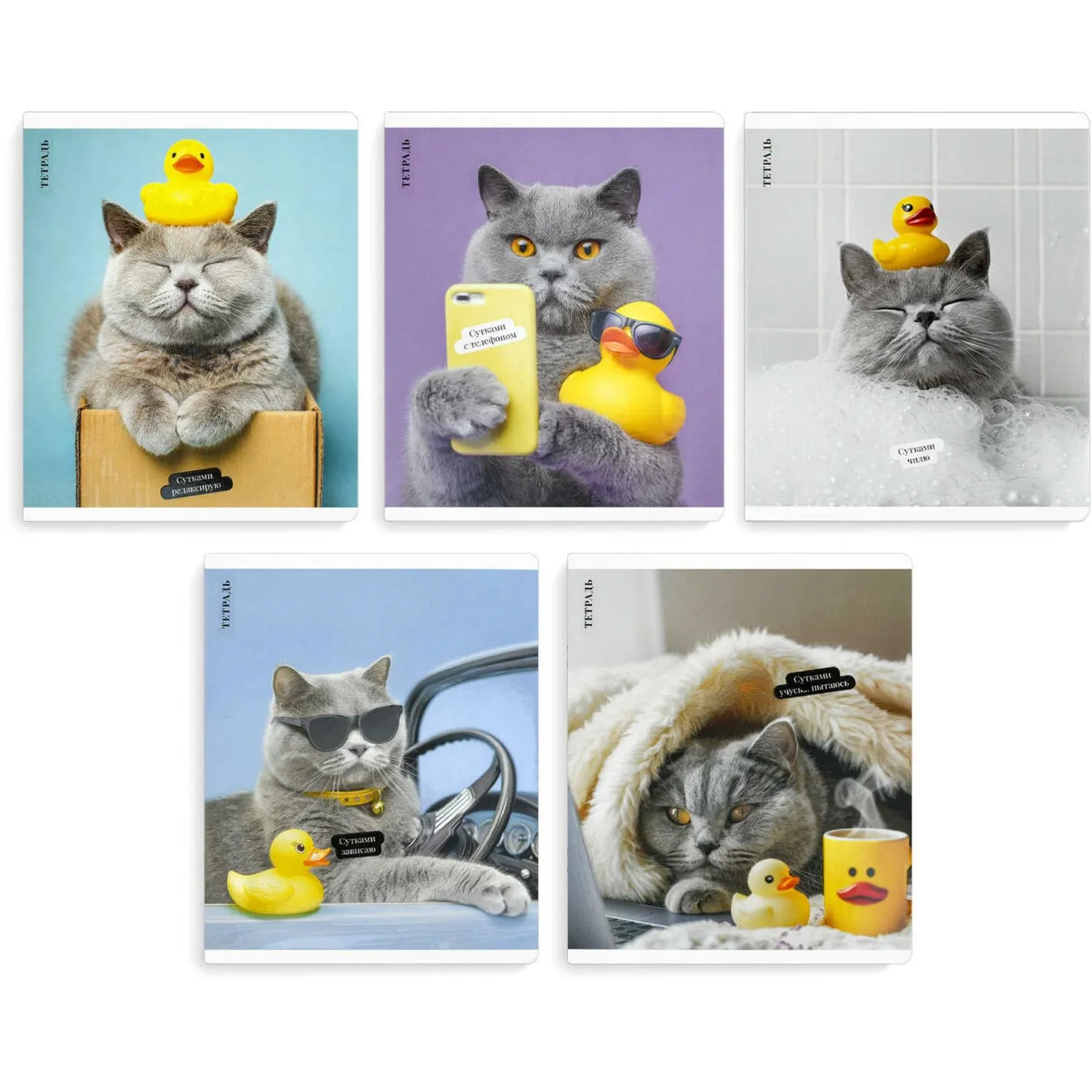 Общая тетрадь Феникс+ «Кот с уткой», формат А5+, клетка - Image 2