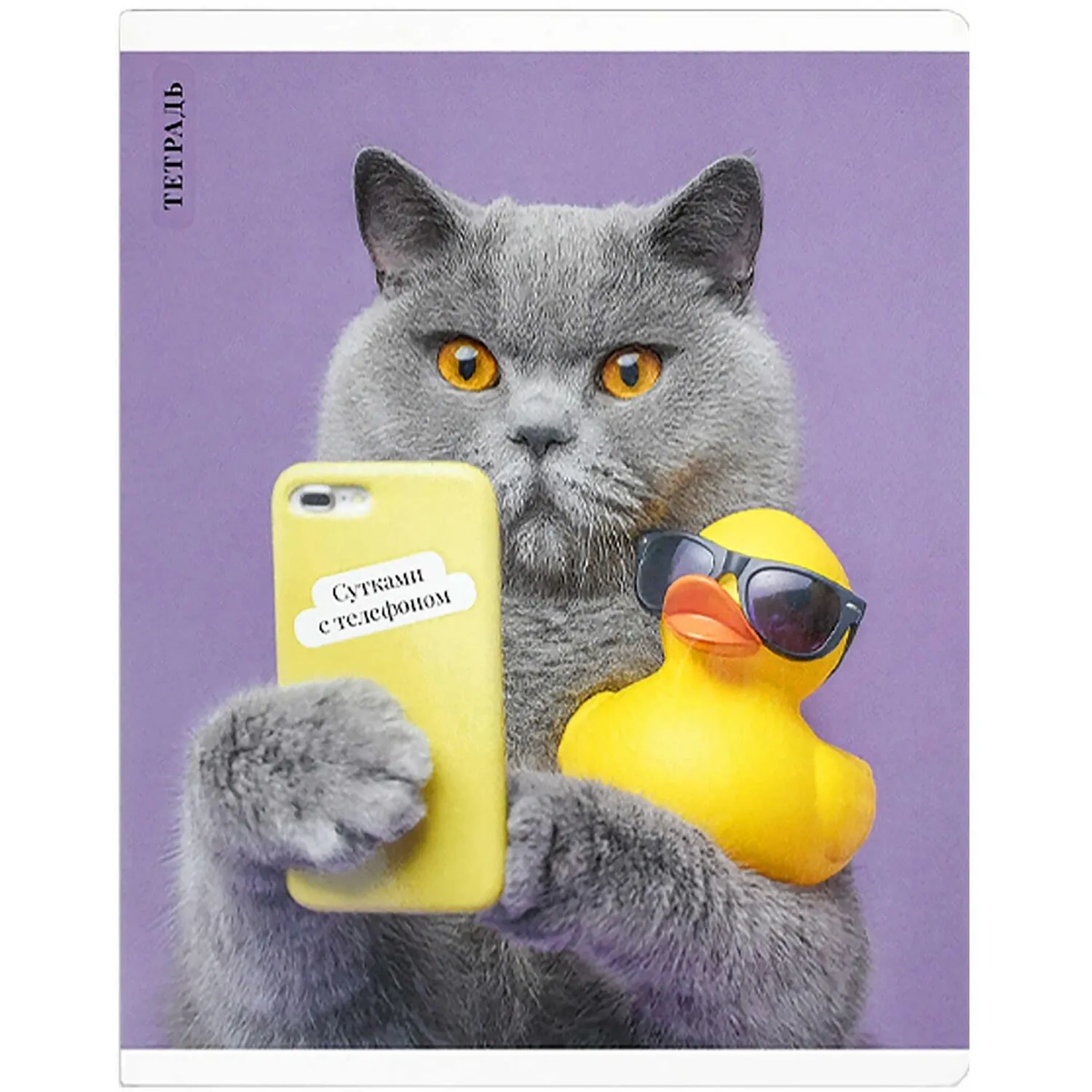 Общая тетрадь Феникс+ «Кот с уткой», формат А5+, клетка - Image 4