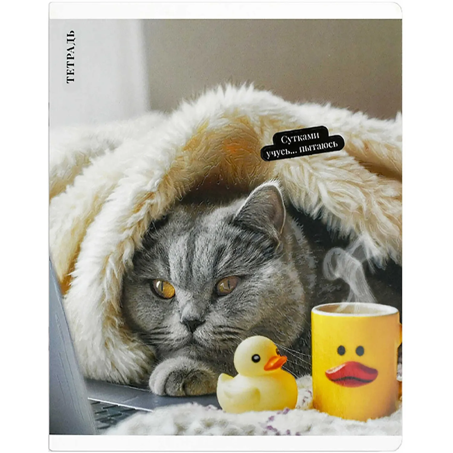 Общая тетрадь Феникс+ «Кот с уткой», формат А5+, клетка - Image 6