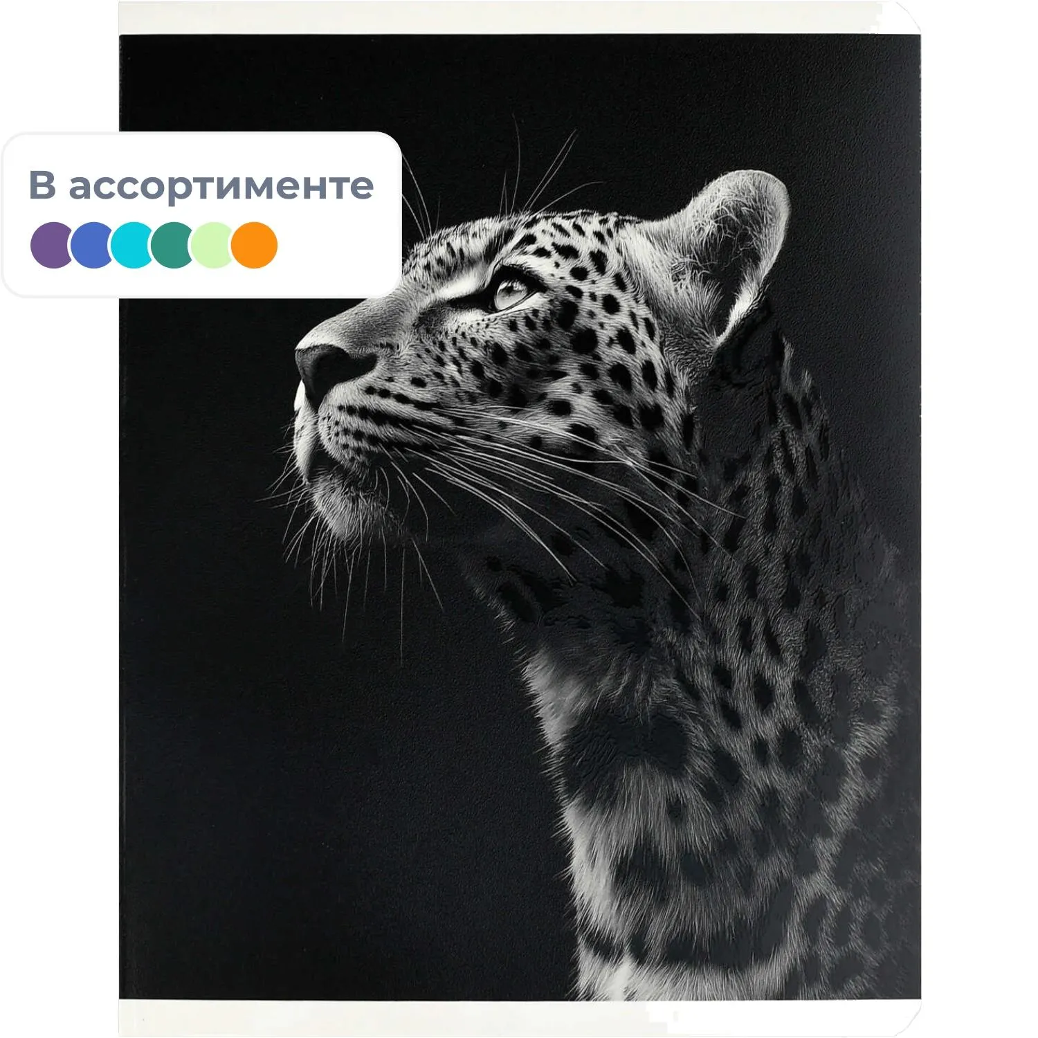 Общая тетрадь Феникс Монохромный леопард, А5+, 48 листов, клетка, мягкая обложка