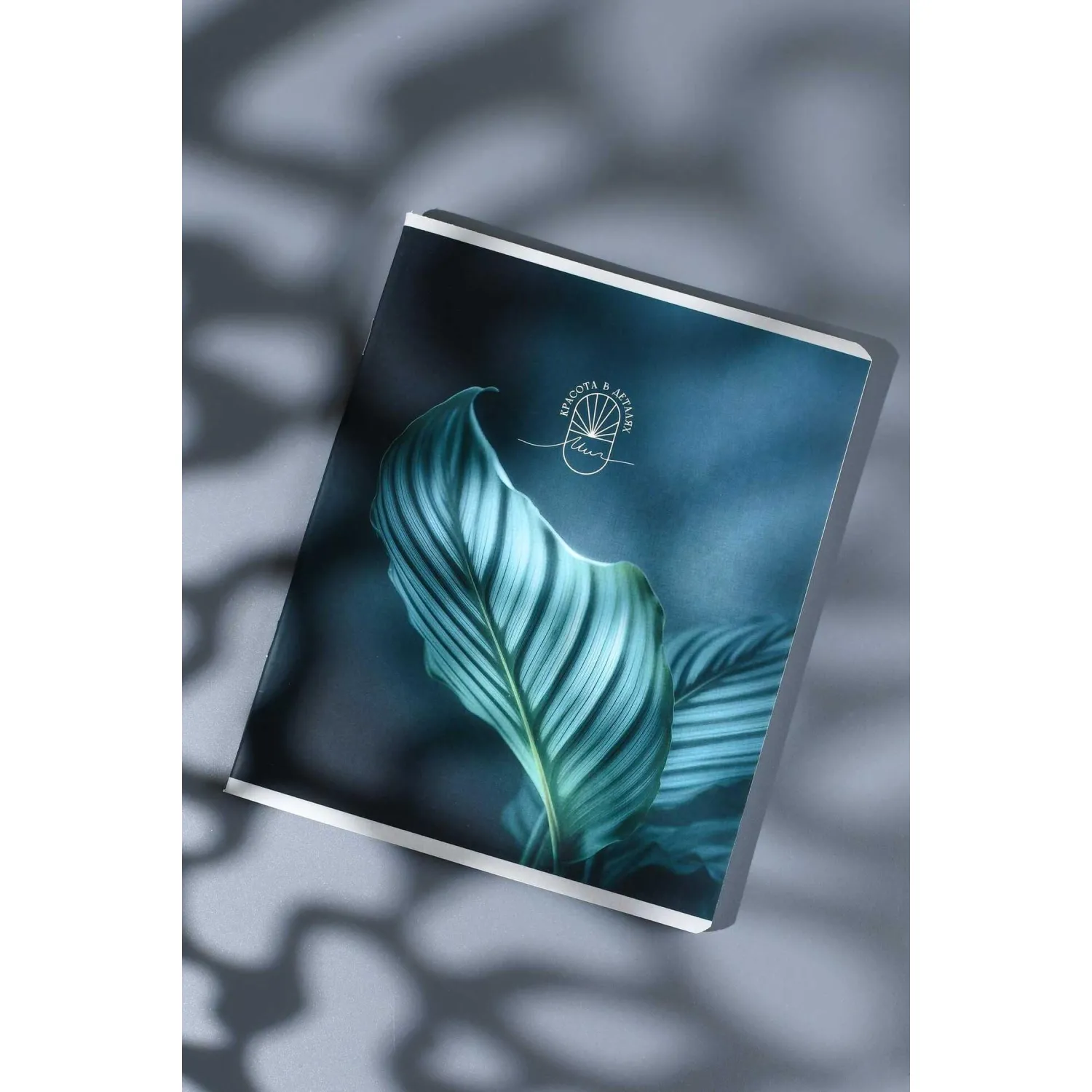 Общая тетрадь Феникс+ Красота в деталях, А5+, клетка, школьная - Image 18
