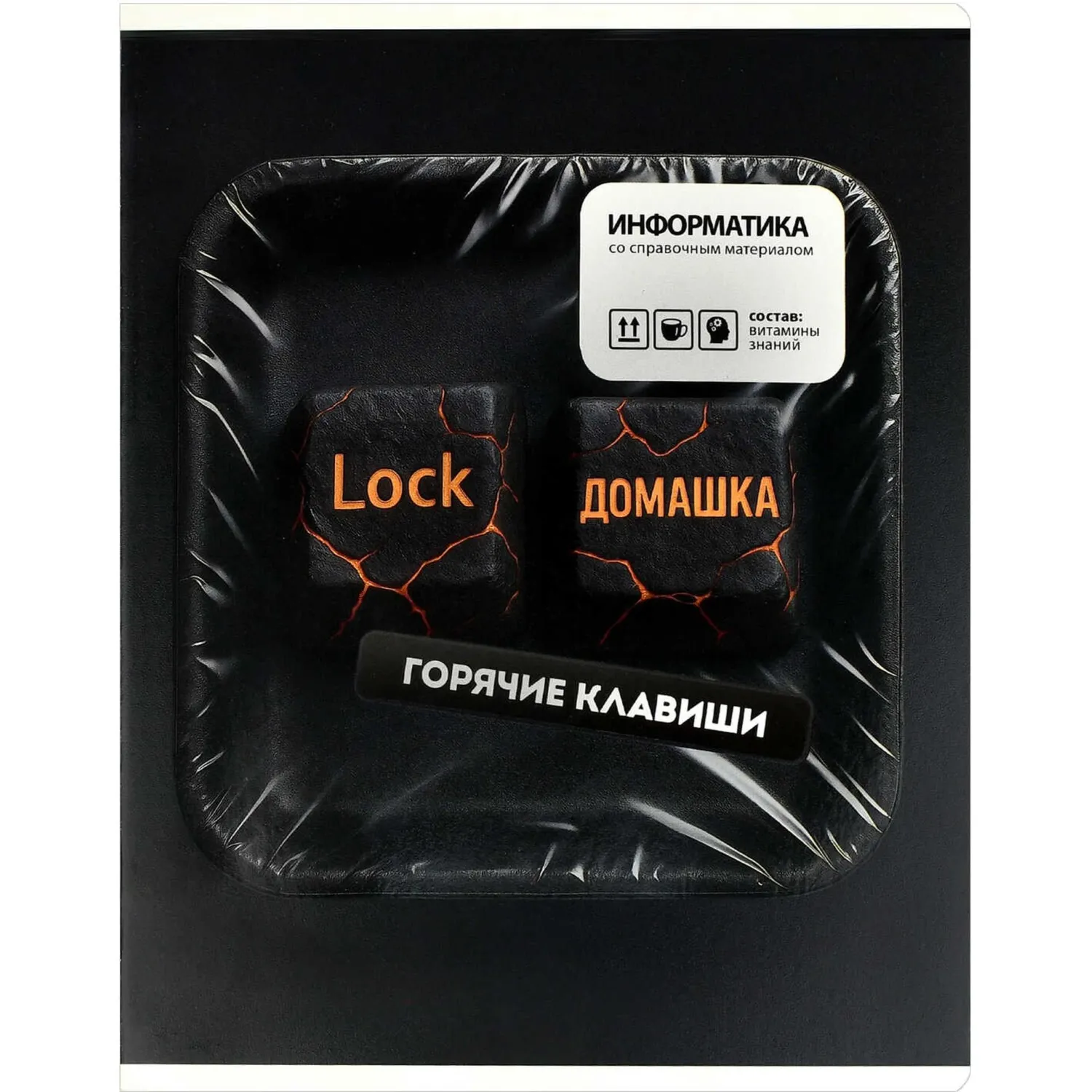тетрадь по информатике Феникс+ А5 «Фразы с характером»
