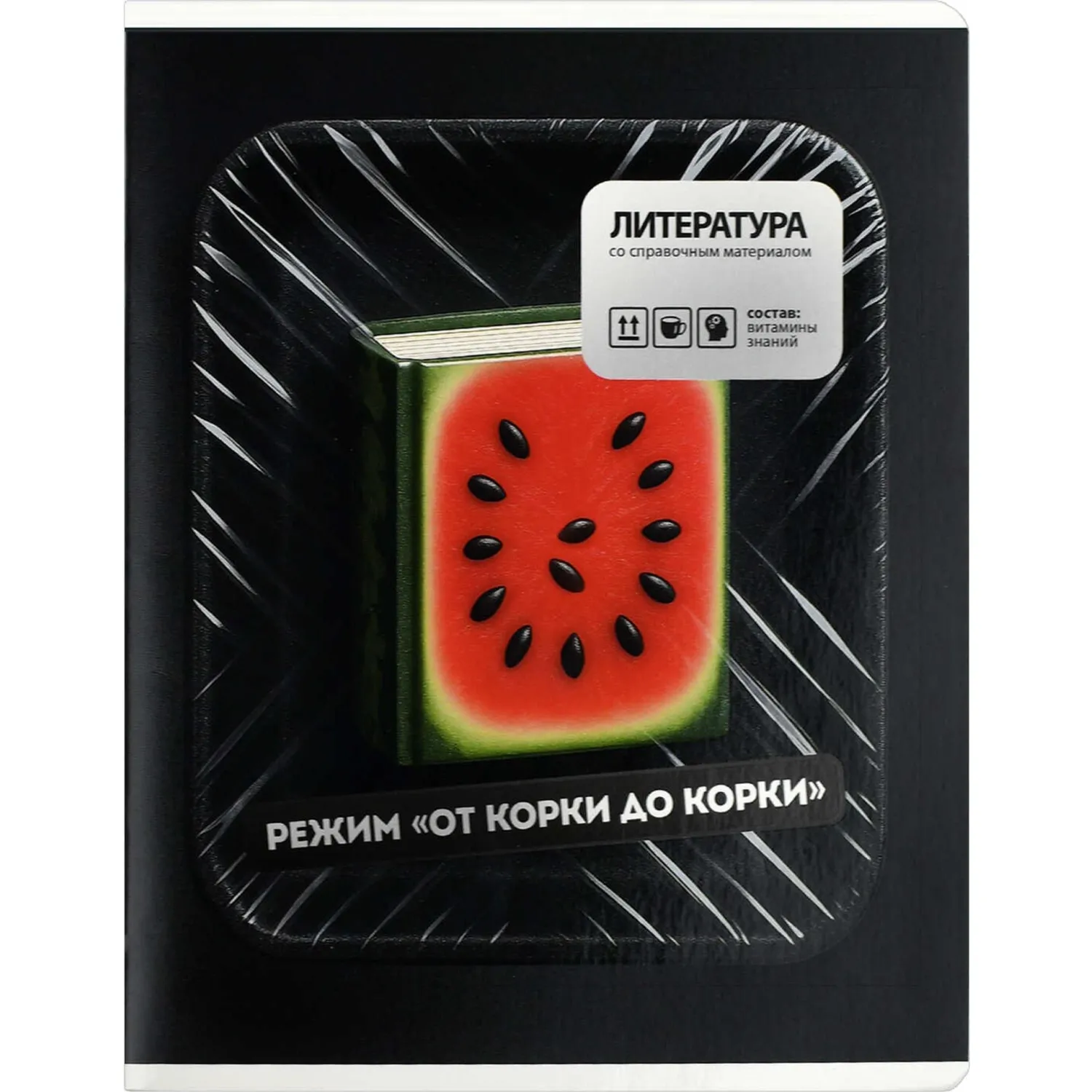 Тетрадь предметная по литературе Феникс+ А5+, 48 листов, обложка 16,9×20,5 см