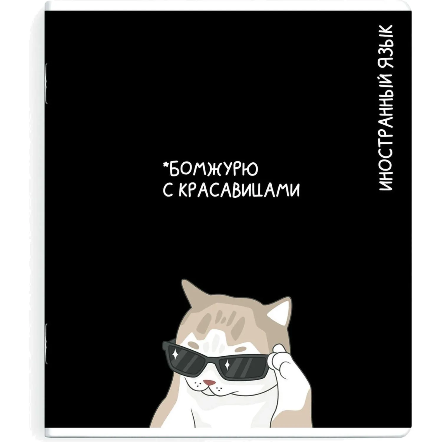 Тетрадь предметная по иностранному языку Феникс+ А5+, 48 листов, клетка, TWIN-лак, справочник, мемы