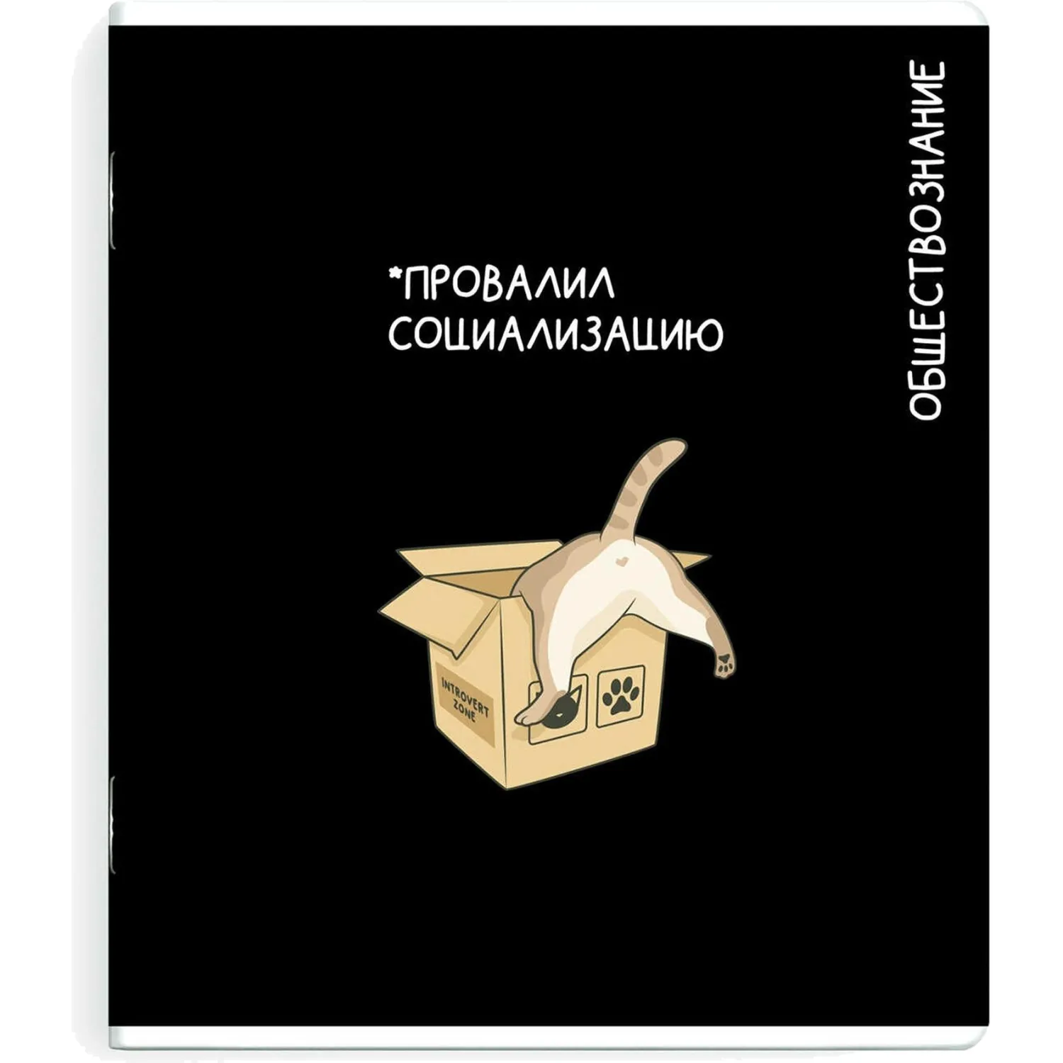 Тетрадь предметная по обществознанию Феникс+ А5+, 48 листов, клетка, TWIN-лак, 16,5×20 см