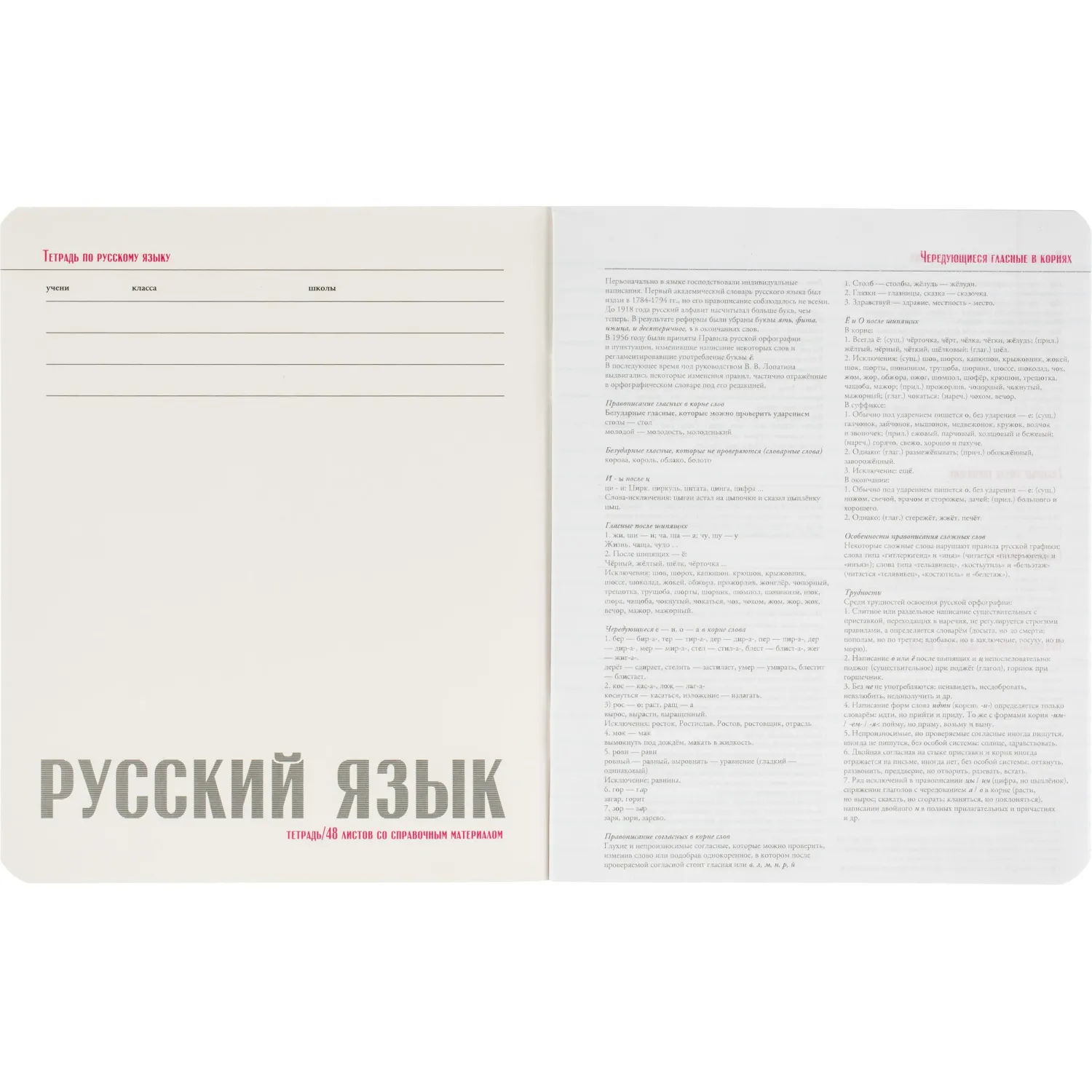 Набор тетрадей Альт Stone color А5 48 л, 10 шт., клетка, ламинация, школьный - Image 43
