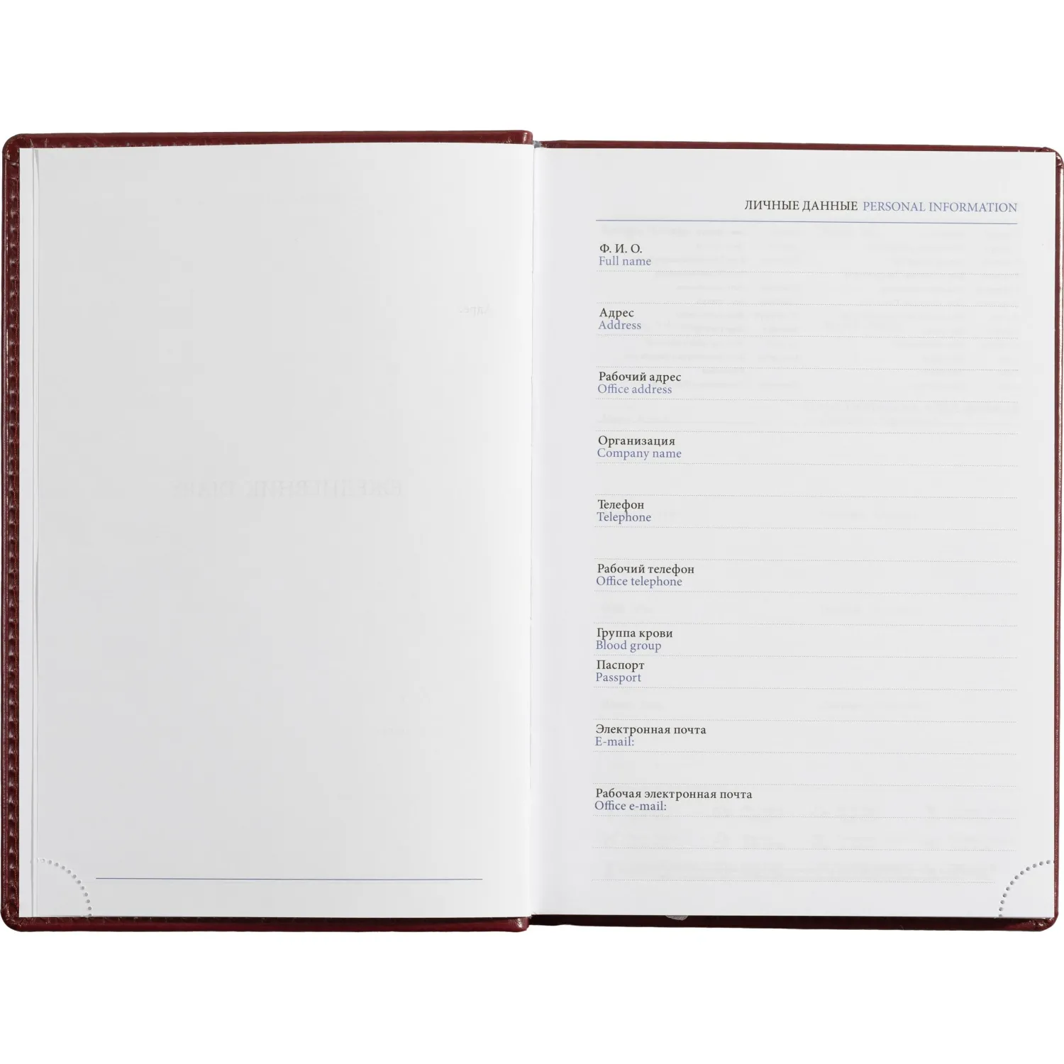 Ежедневник недатированный Attache Agenda А5 176 л, экокожа борд., справочный блок - Image 10