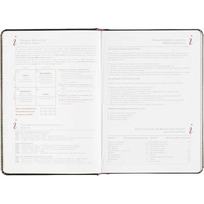 Ежедневник Attache Sidney Nebraska A5+ недатированный (14,6×20,6 см) - Image 11