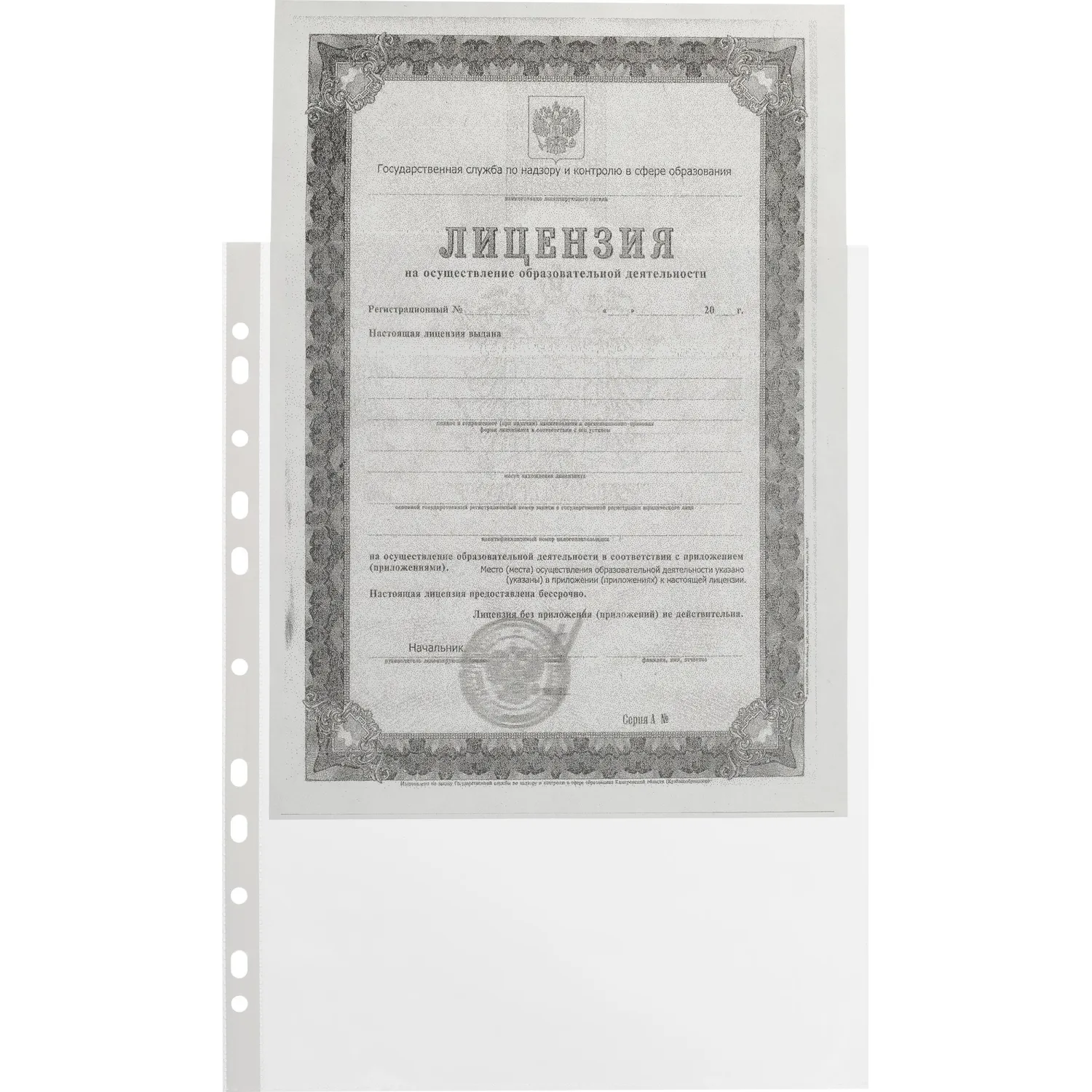 Файл-вкладыш Attache А4 40 мкм гладкий с перфорацией (100 штук в упаковке) - Image 3