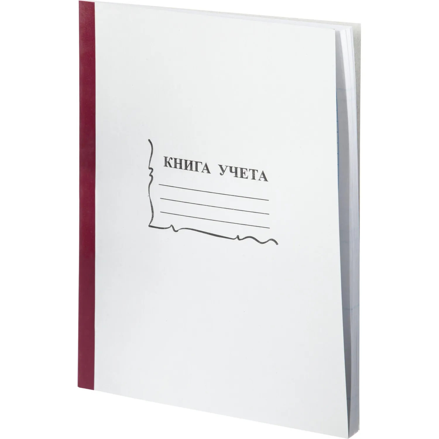 Книга учета 96 листов А4 пустографка на скрепке блок офсет (обложка - картон) - Image 3