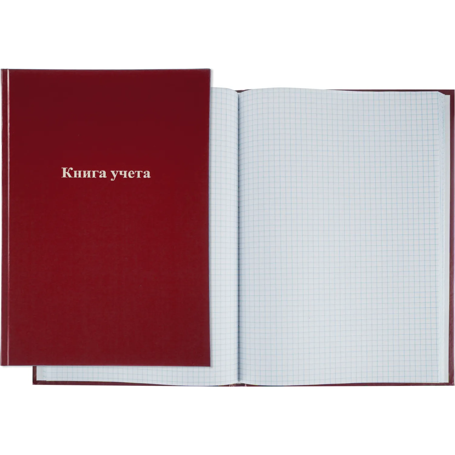 Книга учета 96 листов А4 на сшивке блок офсет бордовая (обложка - бумвинил)