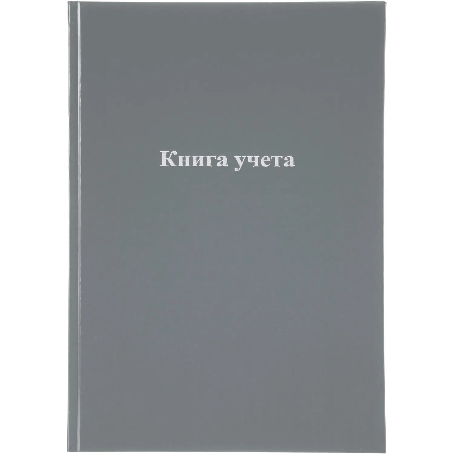 Книга учета 96 листов А4 на сшивке блок офсет серая (обложка - бумвинил) - Image 6