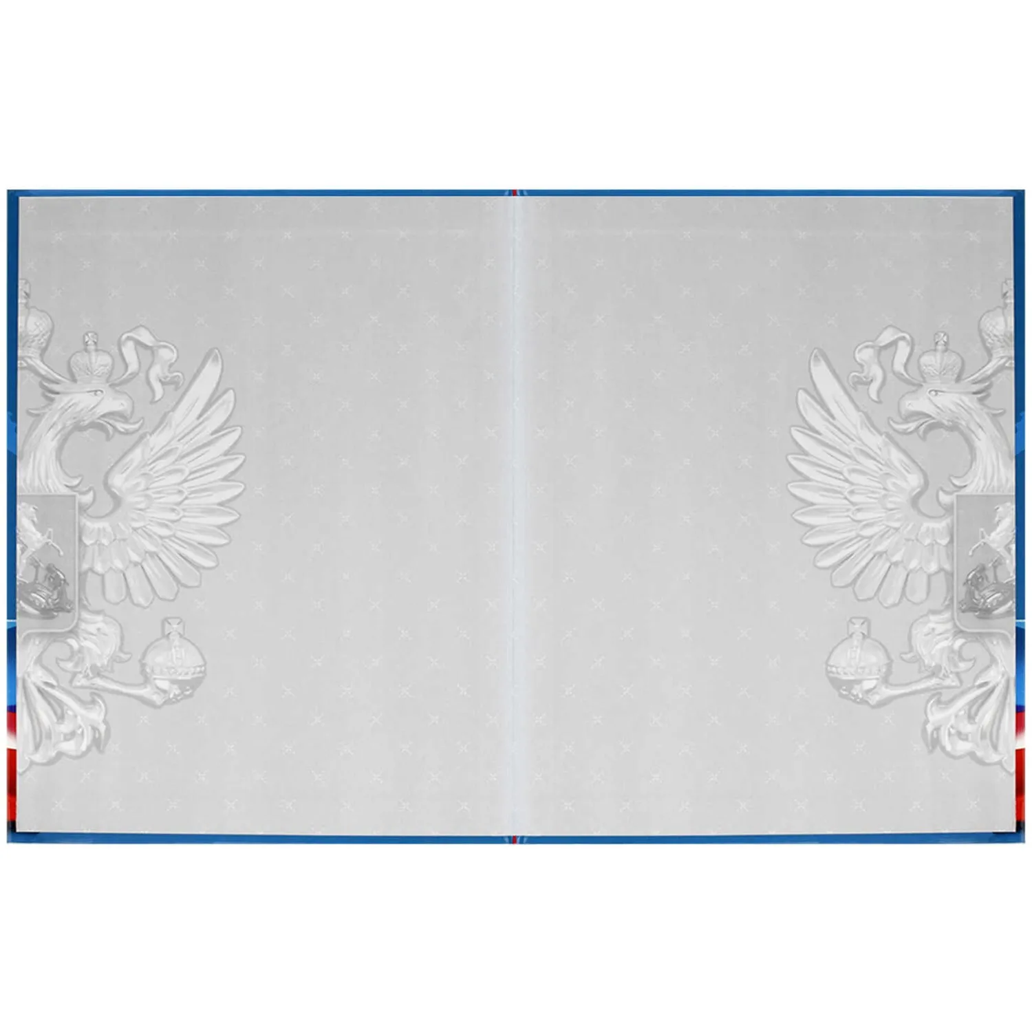 Дневник школьный Феникс+ Символика Флаг 1-11 классы твёрдая обложка - Image 3