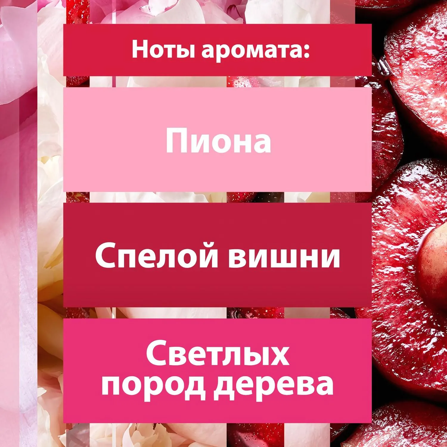 Автоматический освежитель воздуха + сменный баллон Пион и сочные ягоды 269 мл - Image 5
